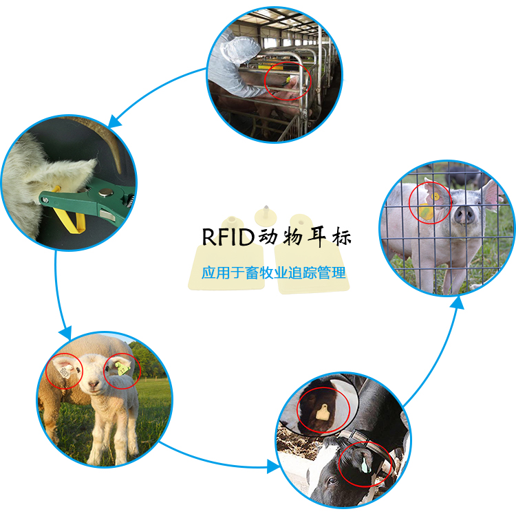 【rfid标签厂家】选择RFID电子标签必须考虑的十个问题